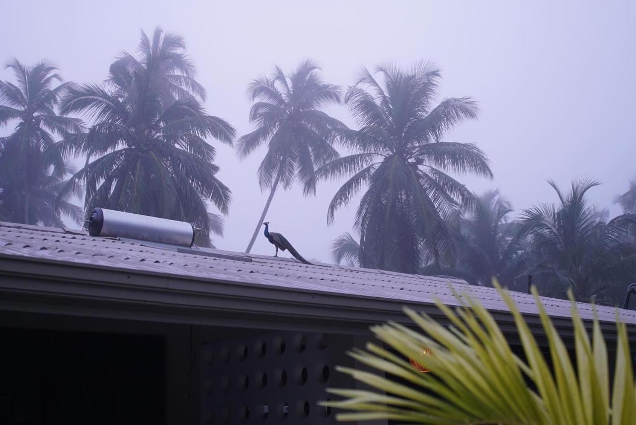 Red Coconut Villa بينتوتا المظهر الخارجي الصورة