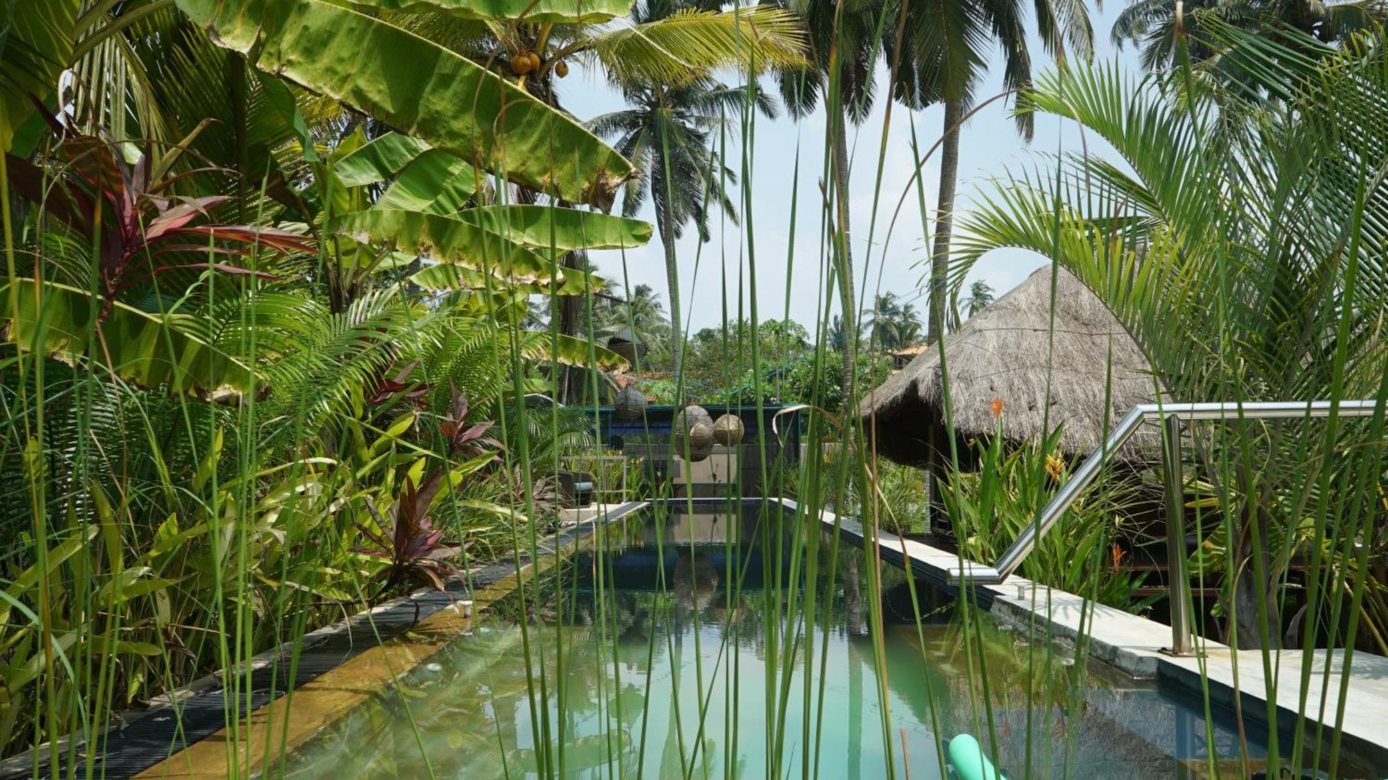 Red Coconut Villa بينتوتا المظهر الخارجي الصورة
