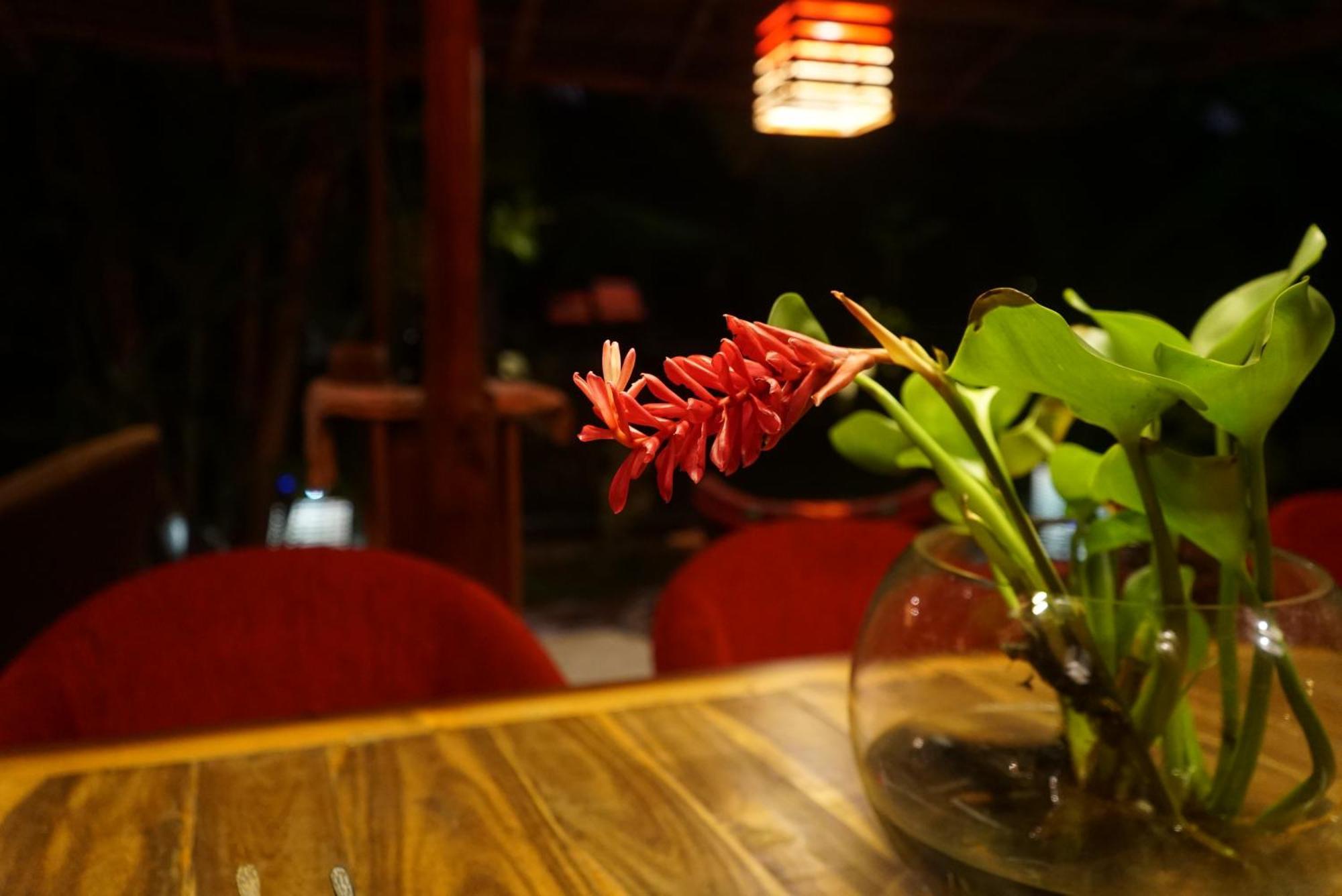 Red Coconut Villa بينتوتا المظهر الخارجي الصورة