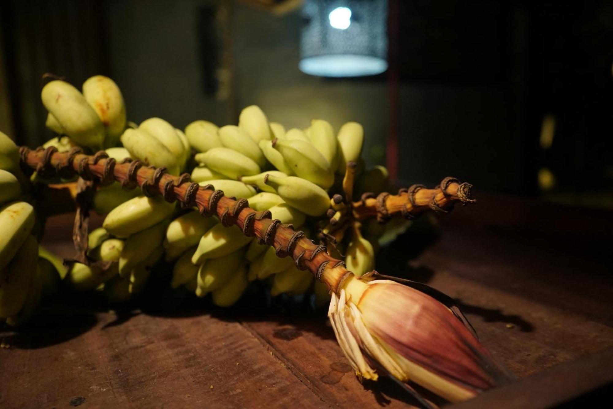 Red Coconut Villa بينتوتا المظهر الخارجي الصورة